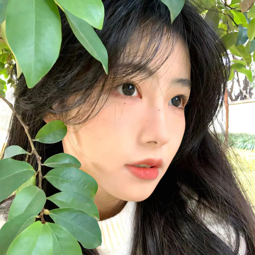 玉笑珠香封面