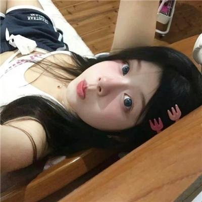 卧底羔羊封面