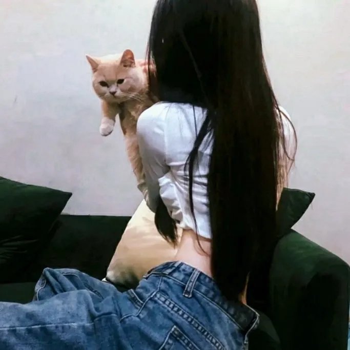 老鼠爱上猫封面